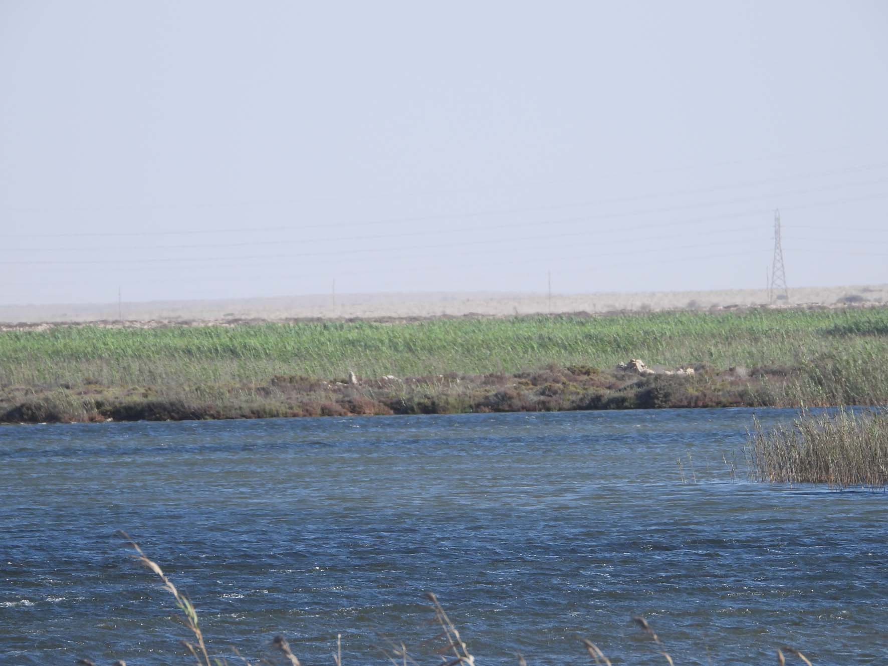 Azla Island 1