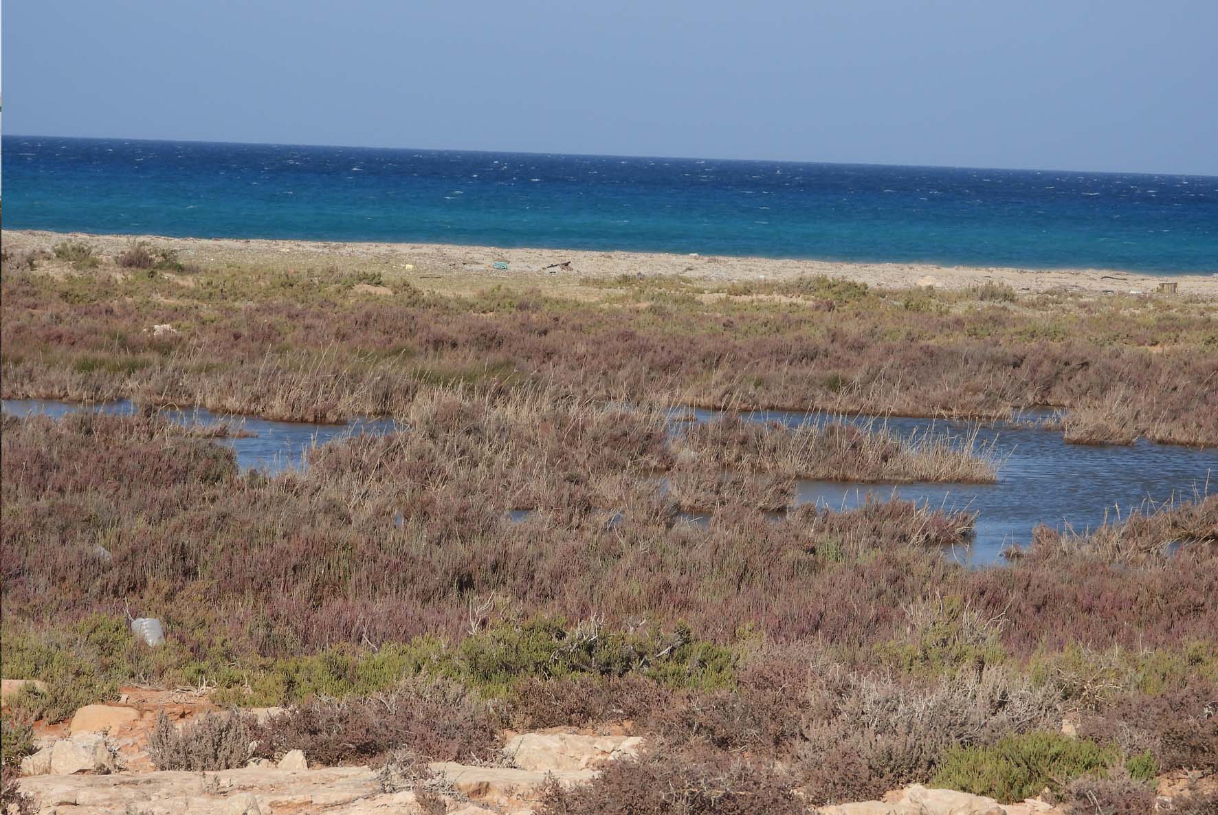 Saline Water Ponds 4