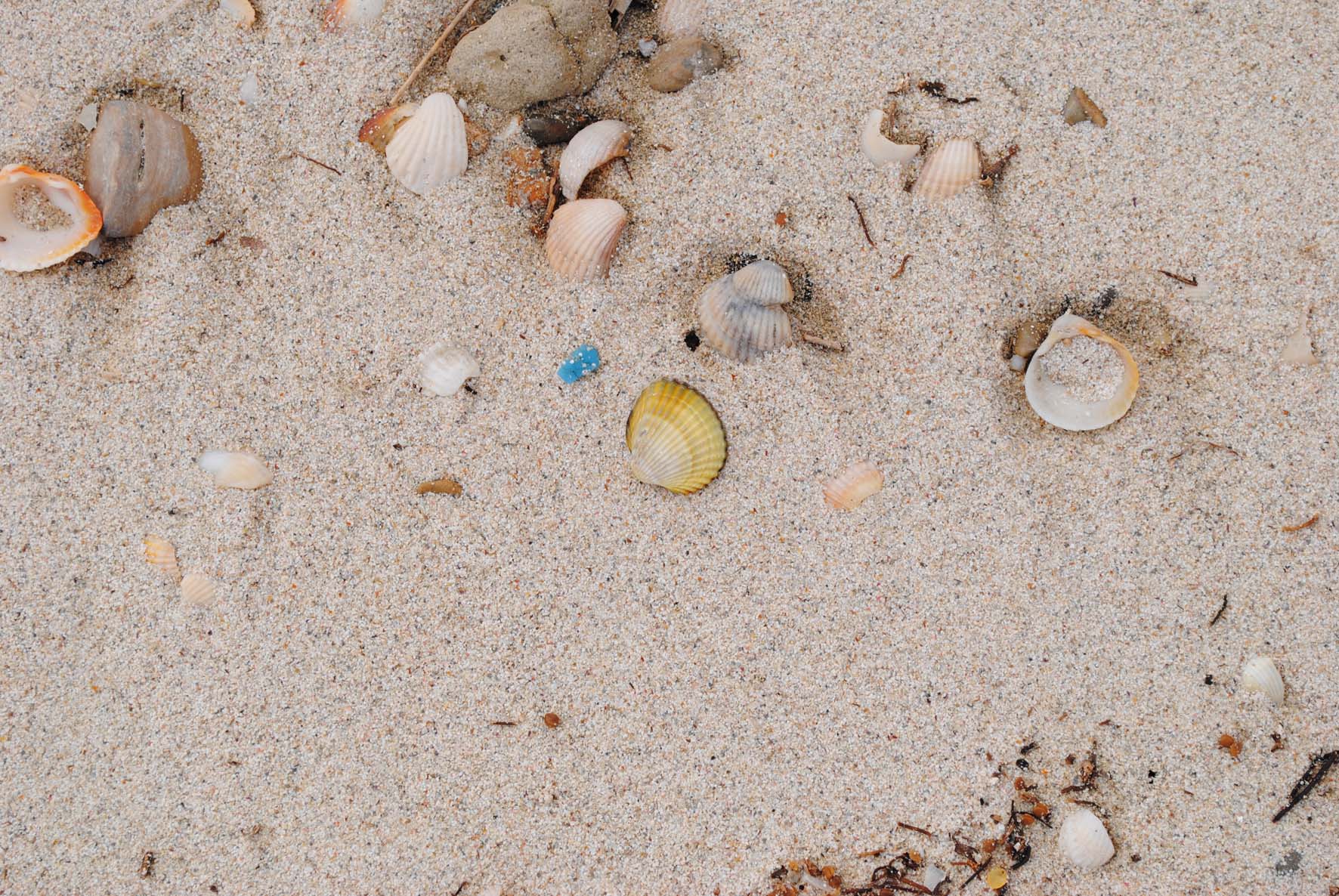 Sand Beach 1