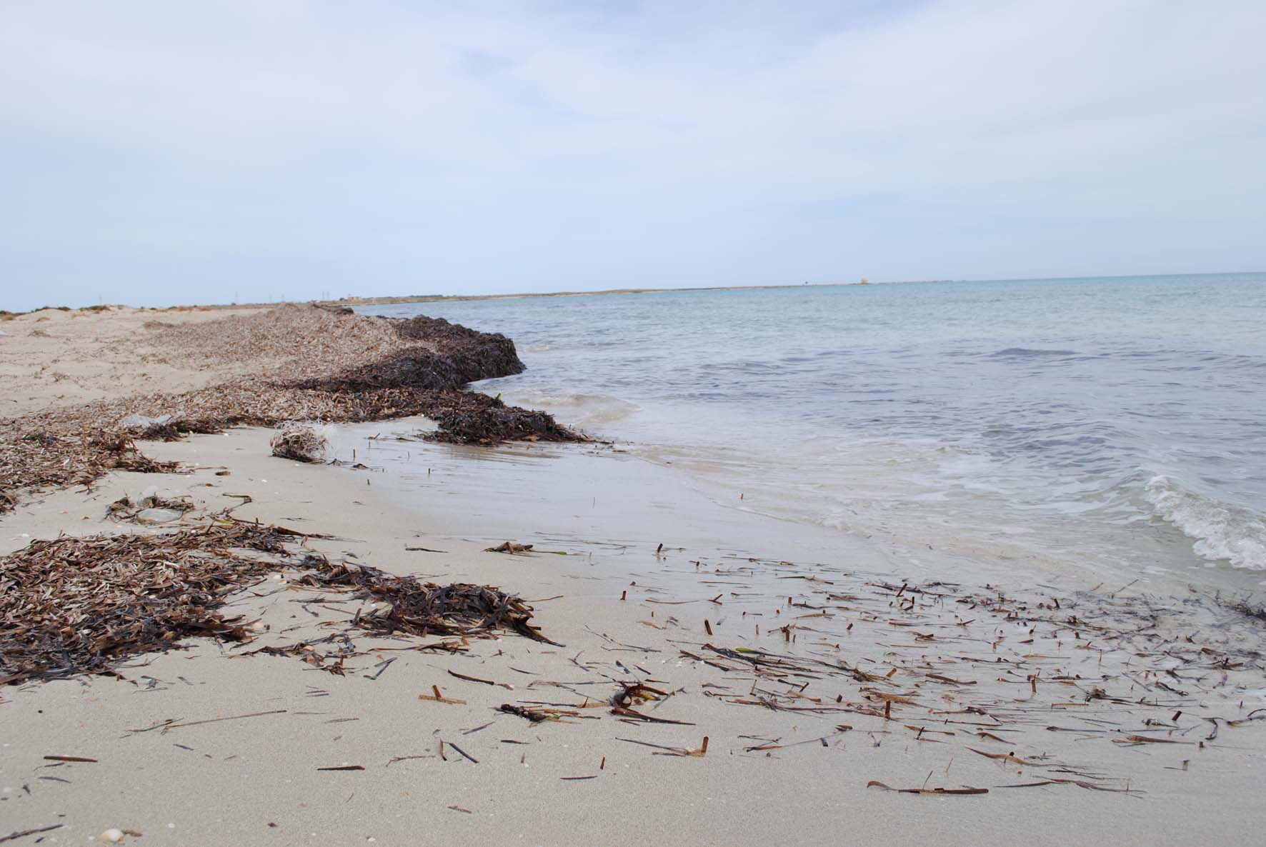 Sand Beach 2