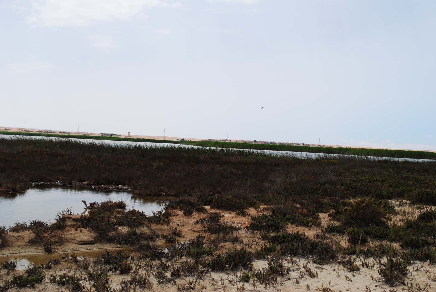 Sea Barrier 4