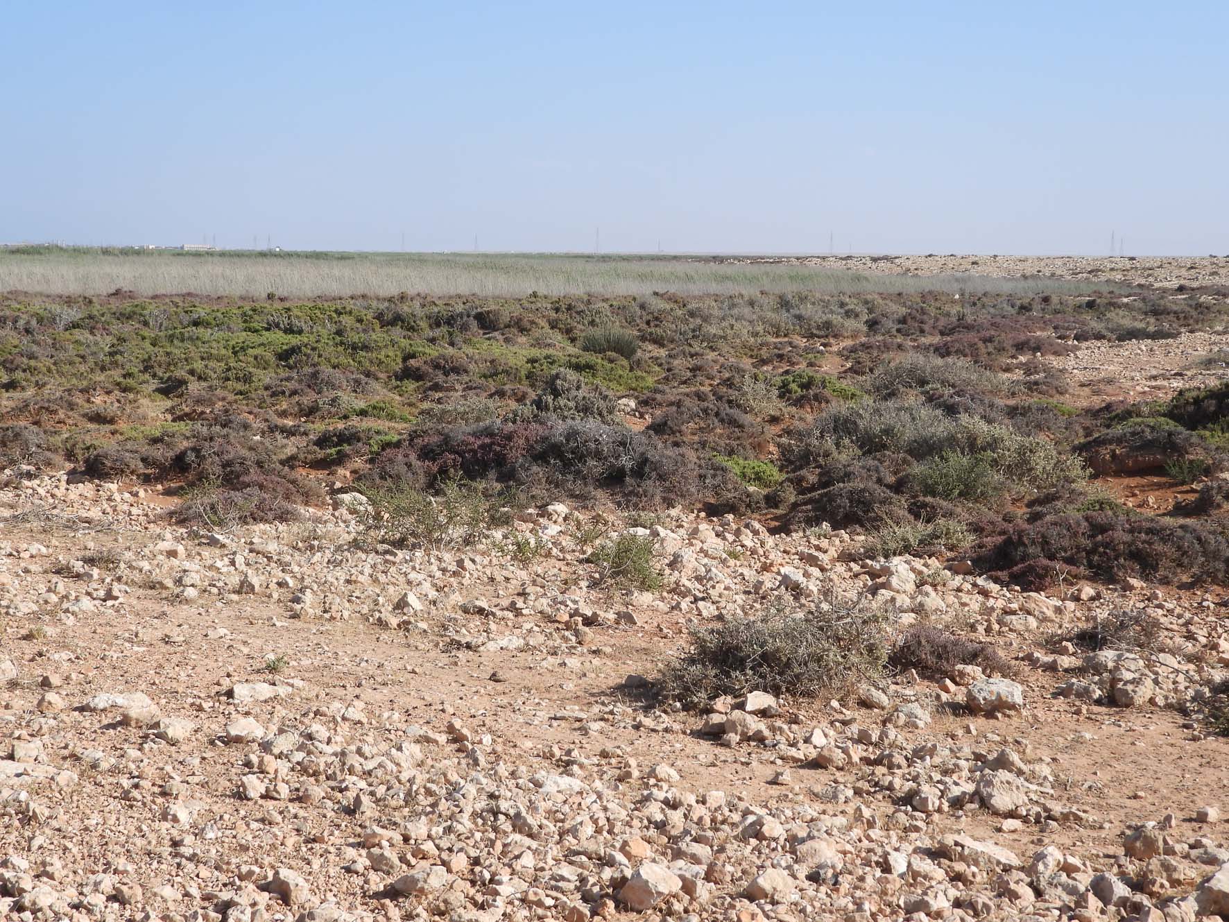 Small Wadi Watershed 2