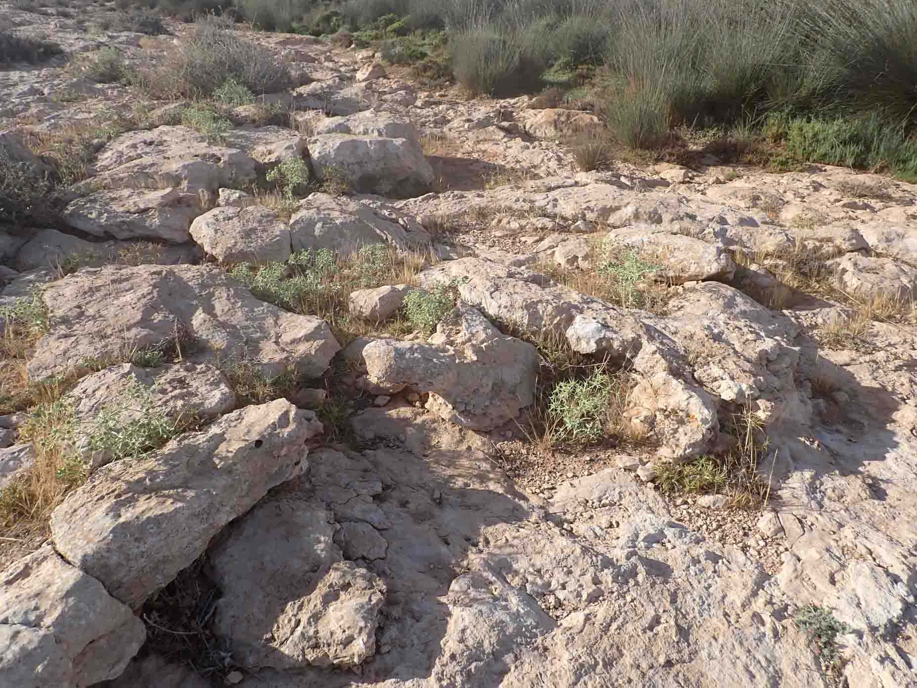 Upper Oligocene-Lower Miocene 3